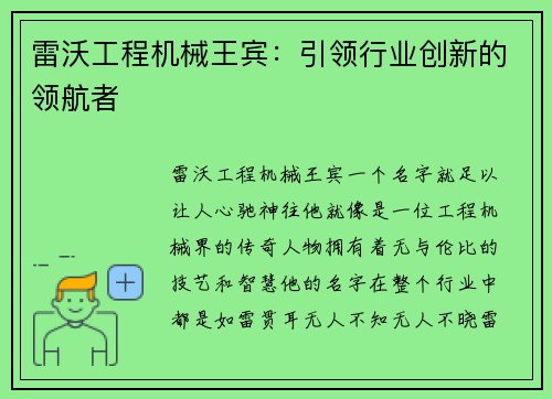 雷沃工程机械王宾：引领行业创新的领航者